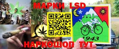 гидропоника Балашиха