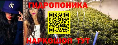 гидропоника Балашиха