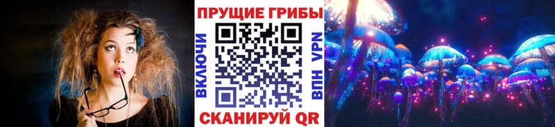 Галлюциногенные грибы прущие грибы Богданович