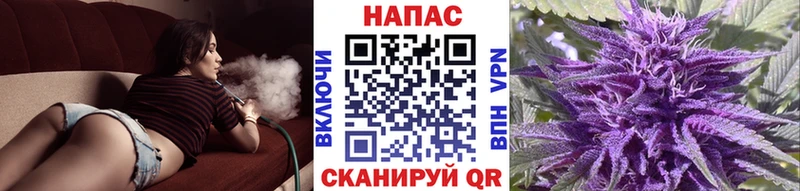 MEGA зеркало  Богданович  Конопля SATIVA & INDICA  купить закладку 